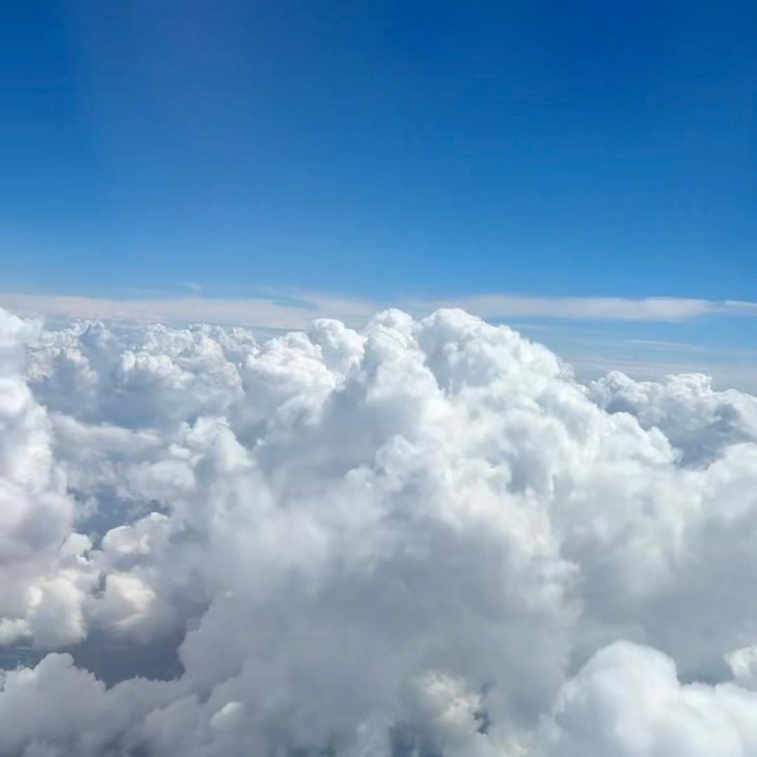 老黄烧烤《小黄鱼》