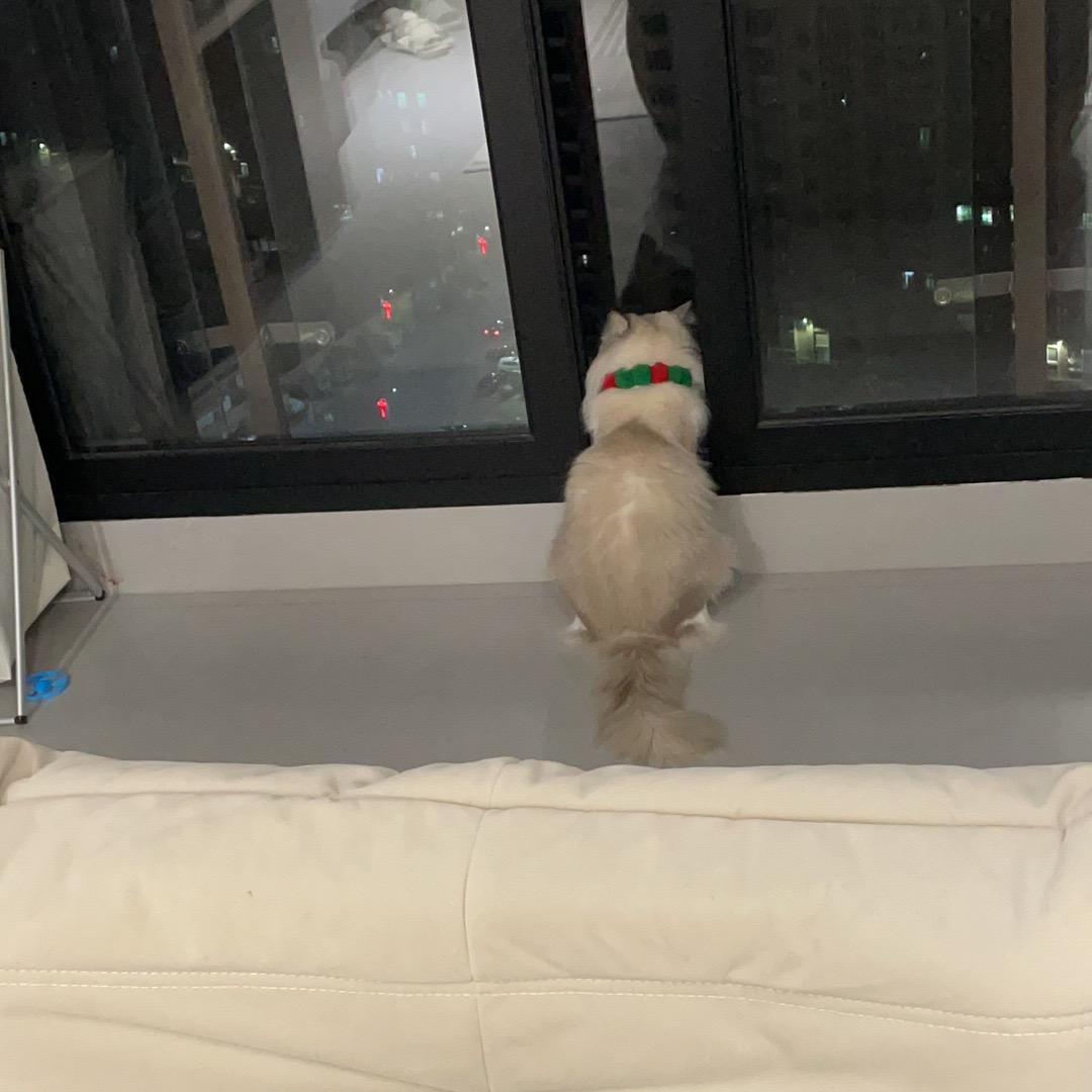 当当当~