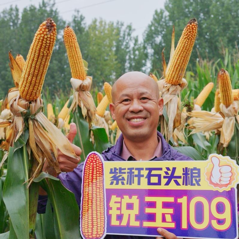 沁县活宝《驼奶粉》