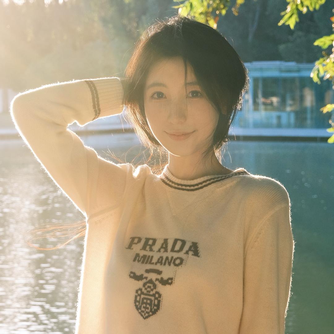狮子猫