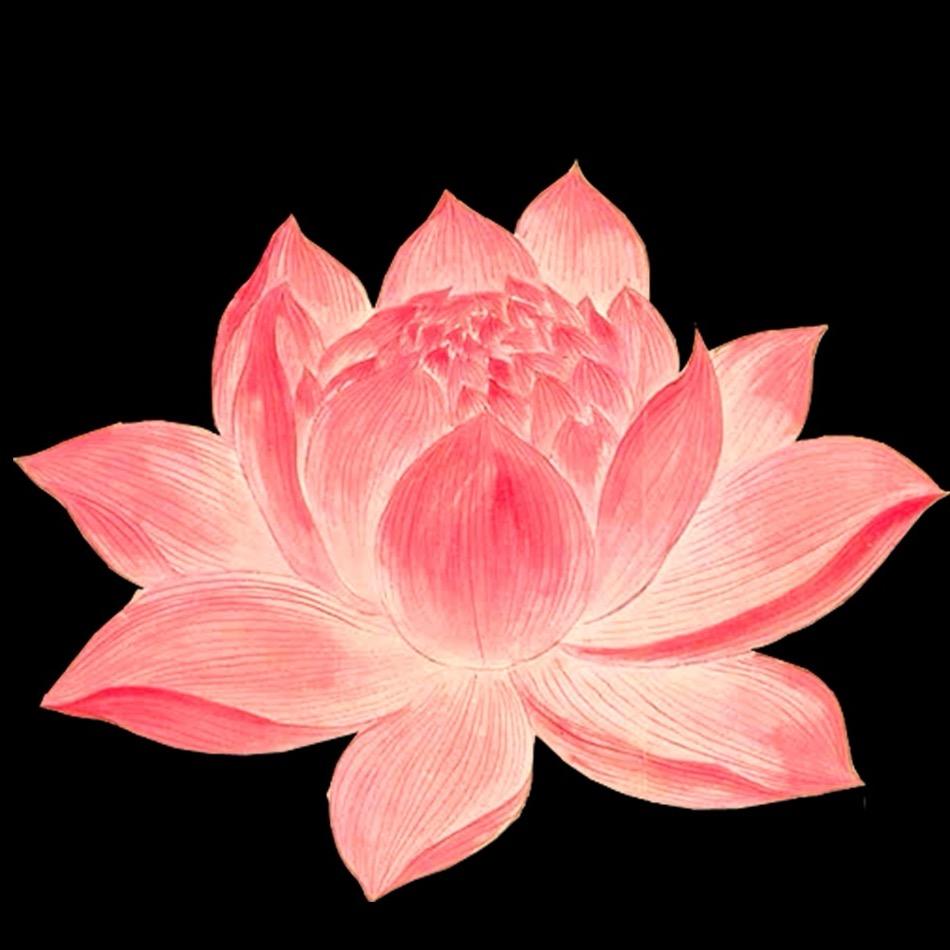 弘一