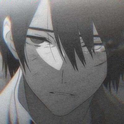 CQ雷龙鱼（印尼）