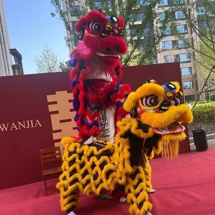 德州舞狮表演（全国接单）