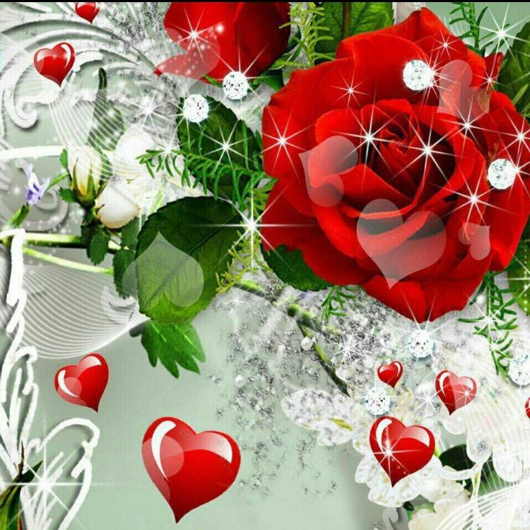 wjgqhcjc🌹🌹🌹