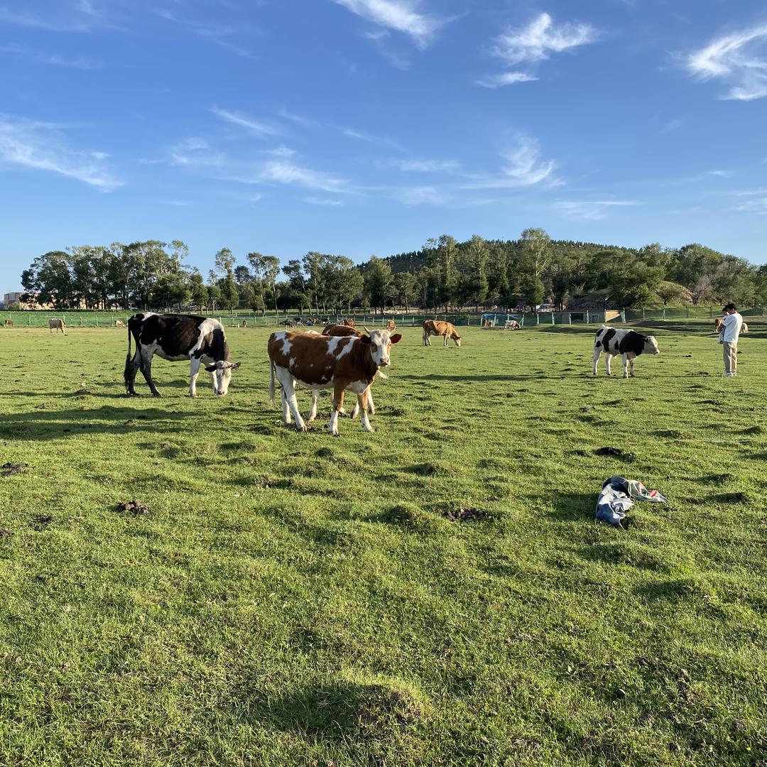 致远烫发官方号