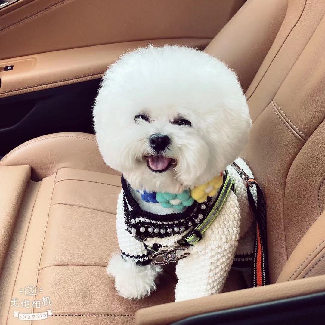 🌔㊙️鹧鸪哨👁🔦搬山道人