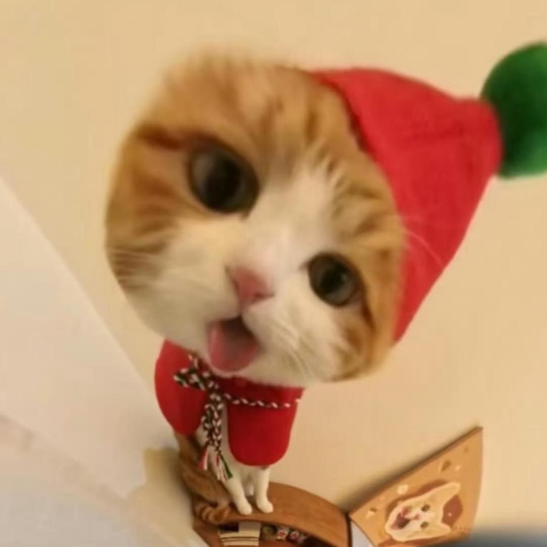安静猴子