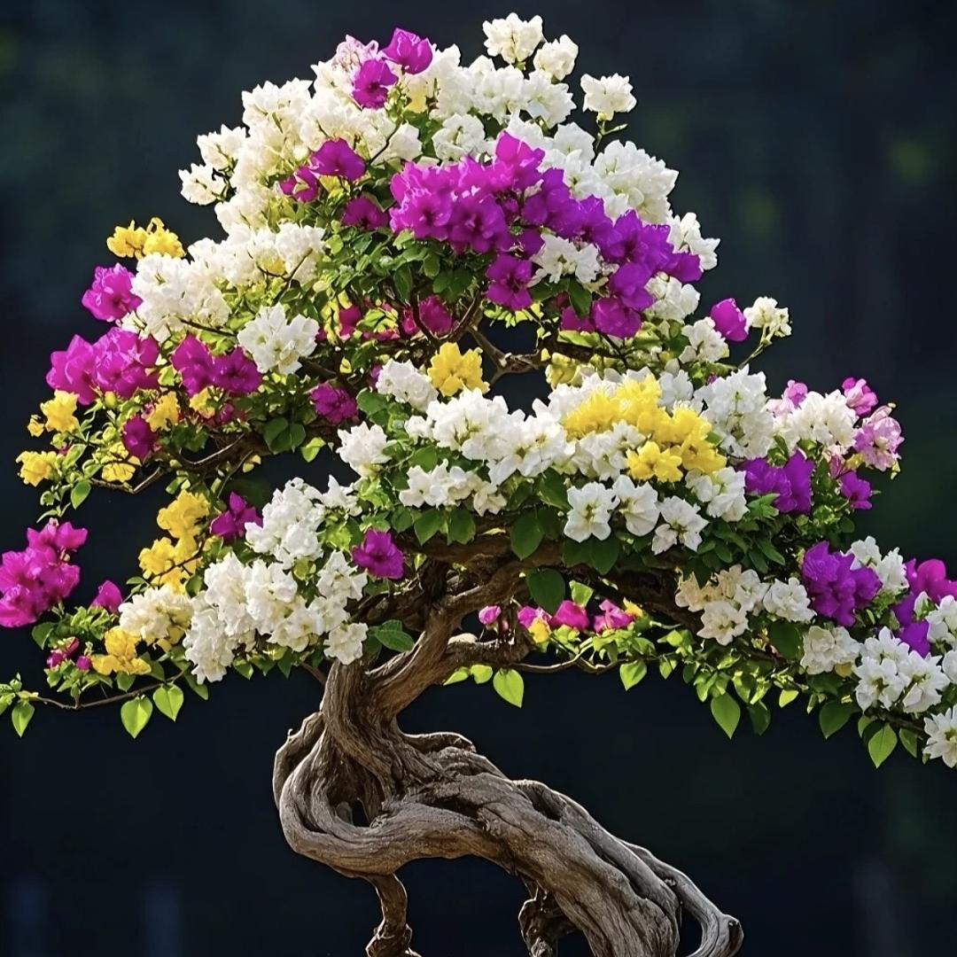 涵卉花卉园