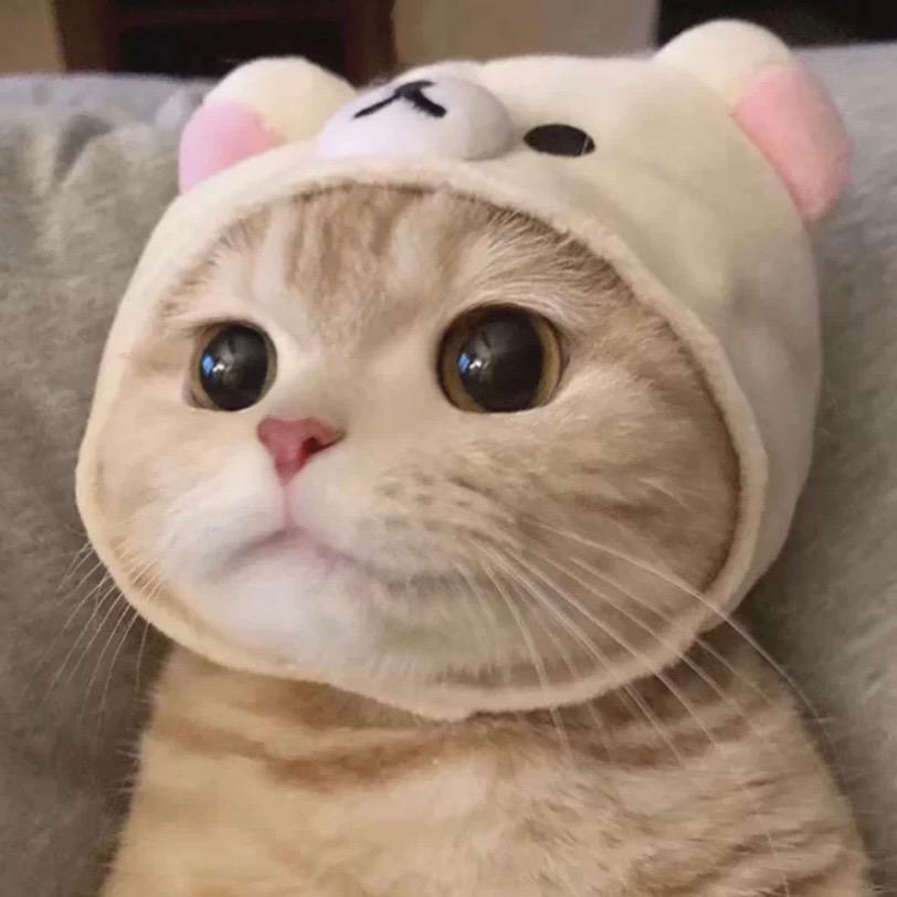 羊咩咩^*^