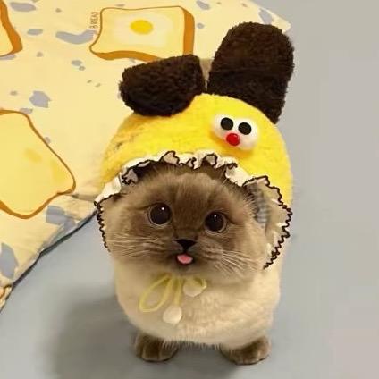 太阳