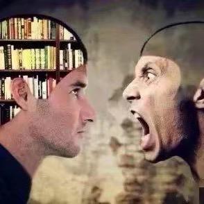 🍇神农架全球天使投资人👑