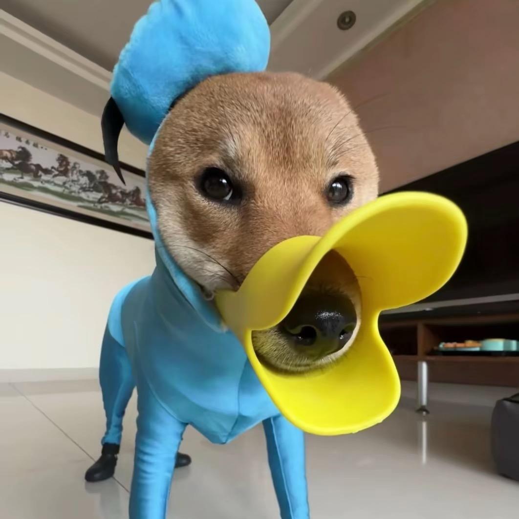 🧀️芝士爆米花🍿️