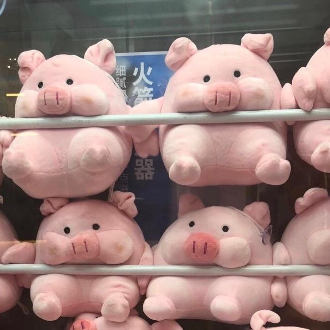 今天也要读书鸭😋