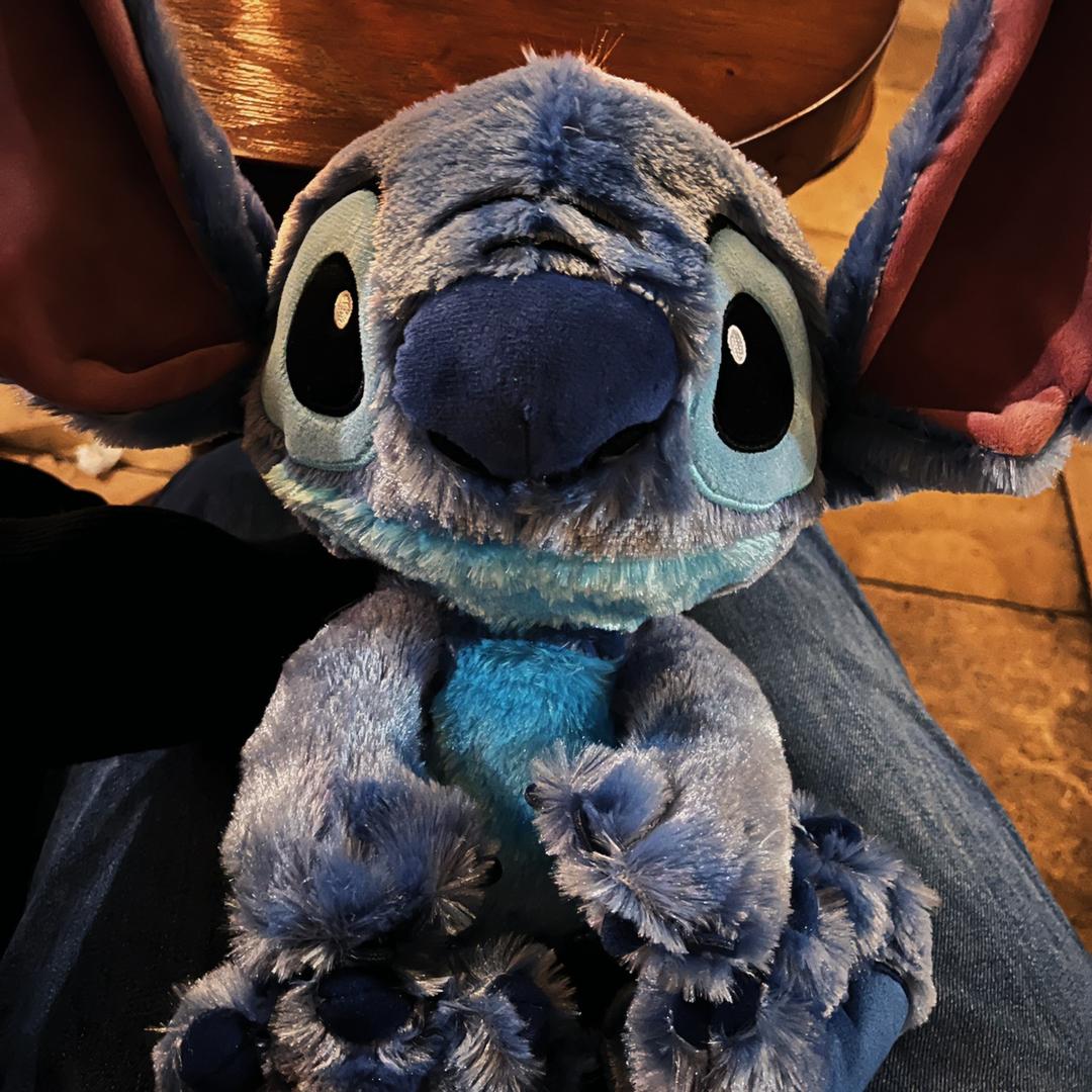 憨猪它的确会上树