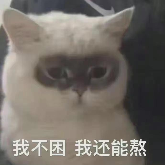 天线短路宝宝