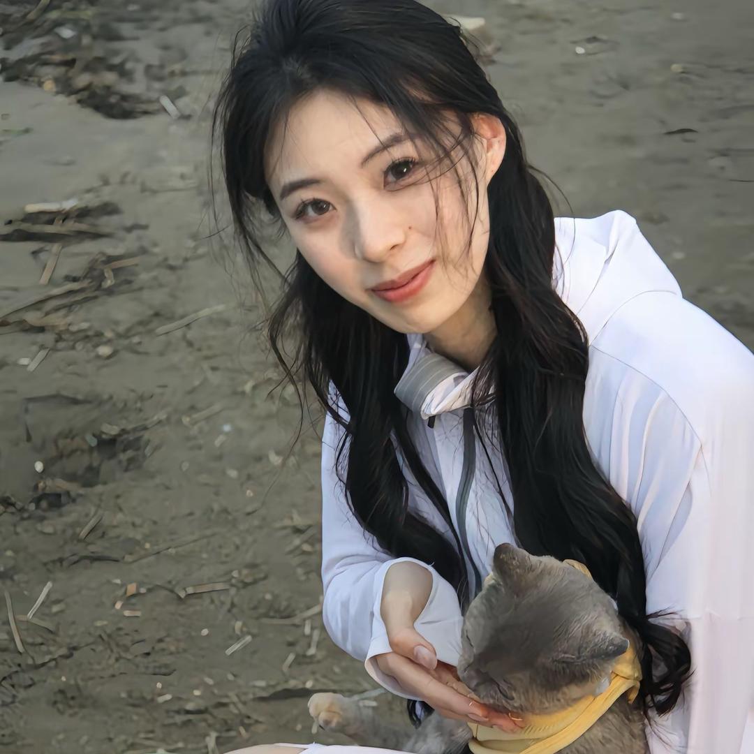 木木.