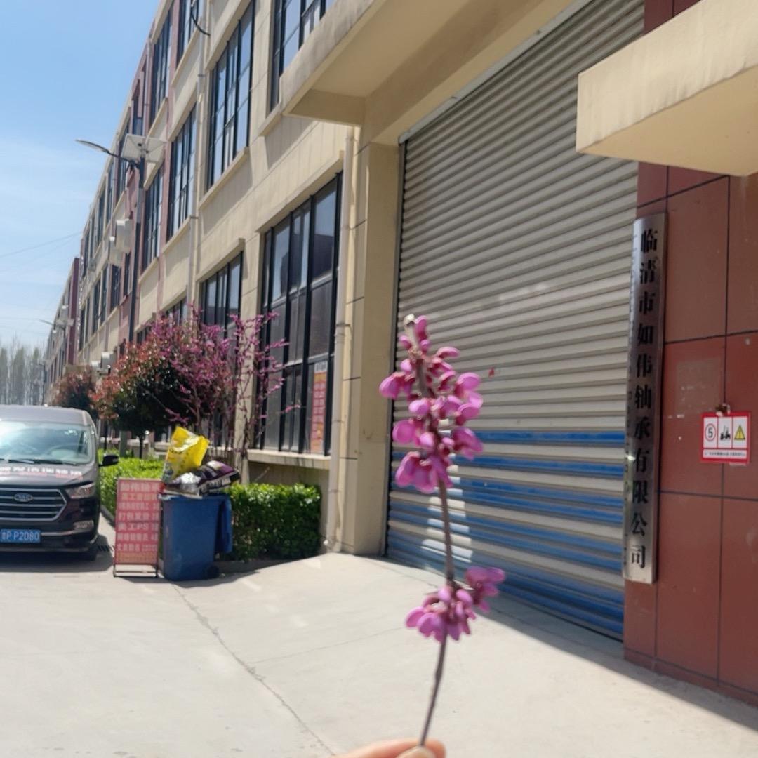 如伟电机轴承非标轴承套圈，原浙江顺发浩瑞