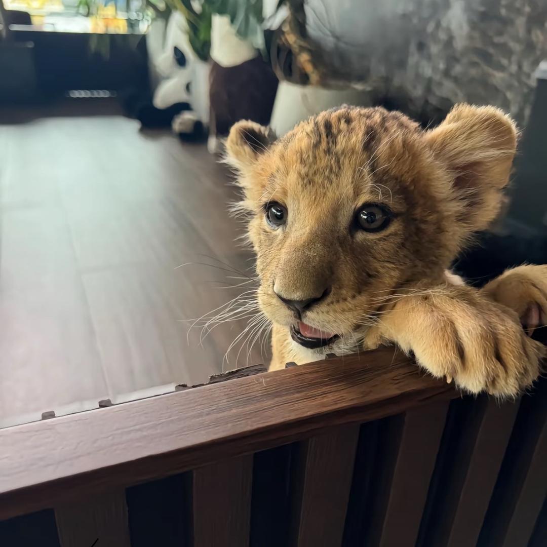 曾经沧海难为水