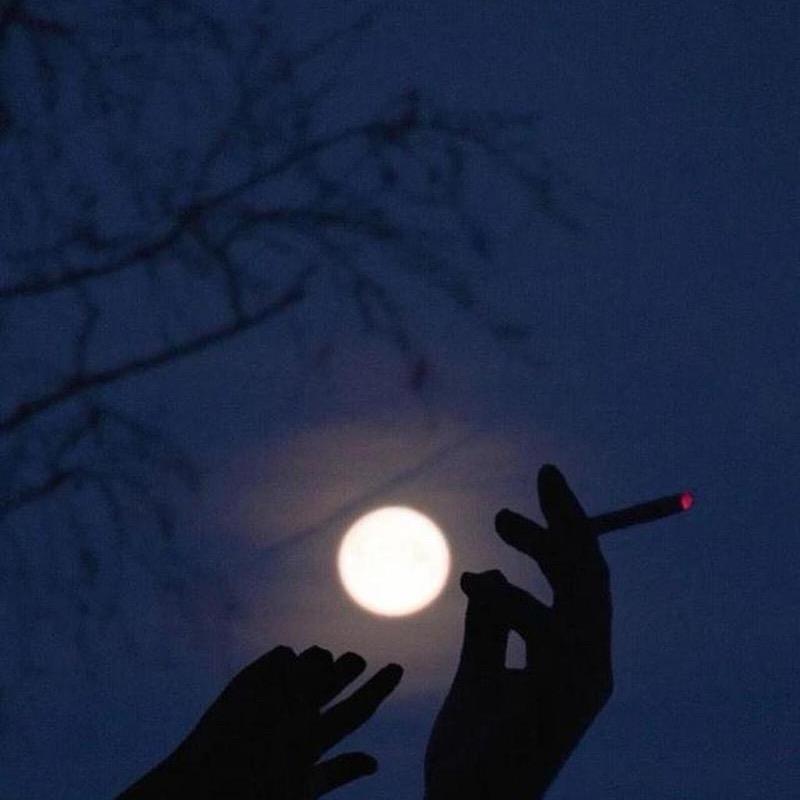 向往美好