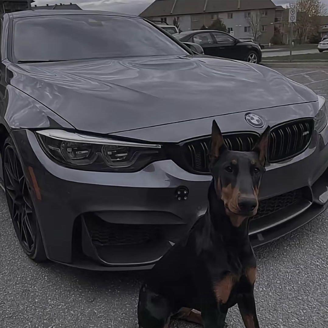 @江苏车牌靓号分享