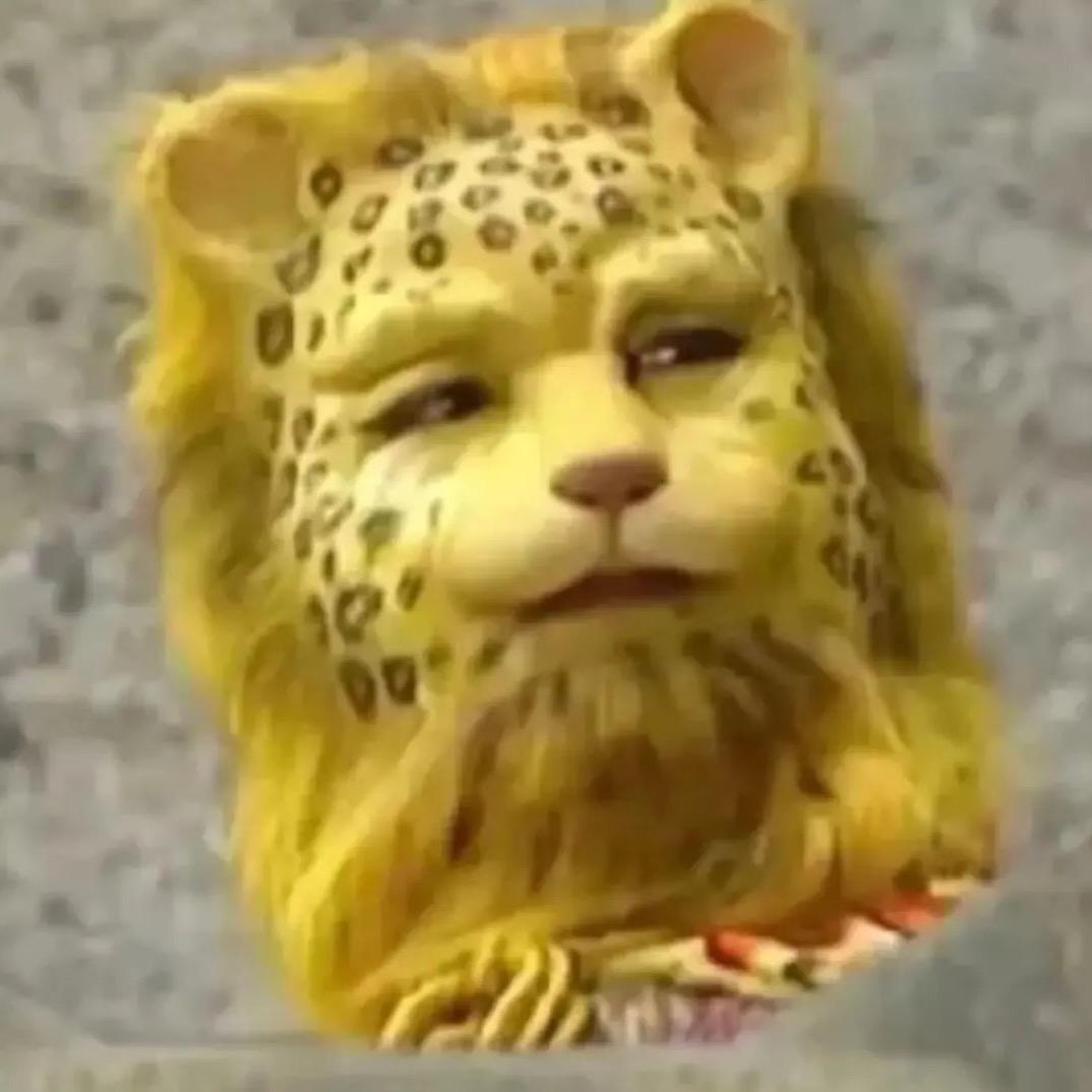 中华秋海棠