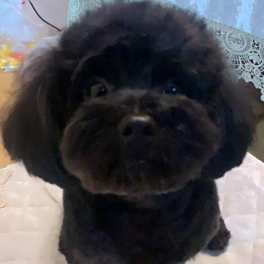 我在人间当女主的日子