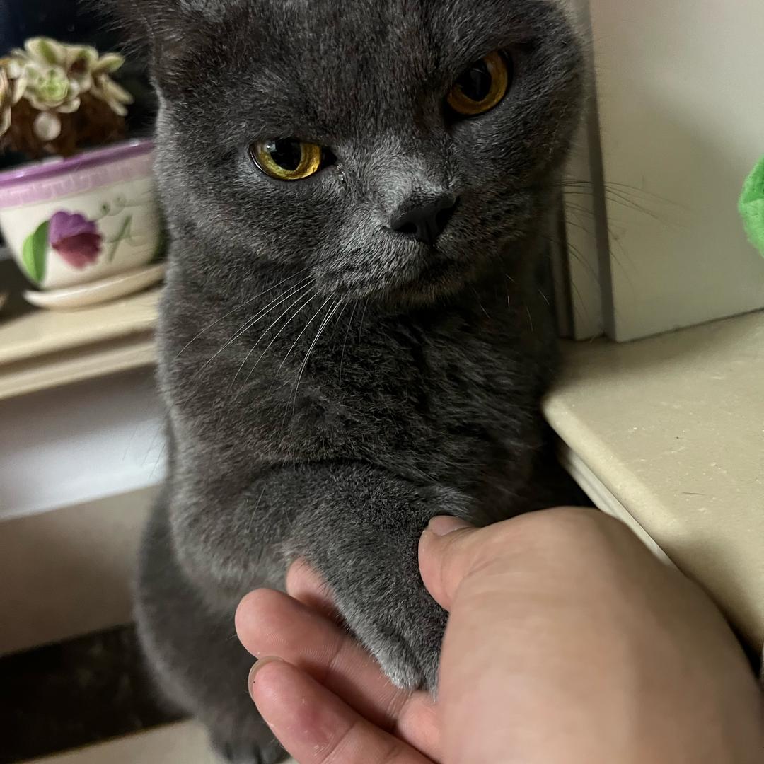 子非鱼