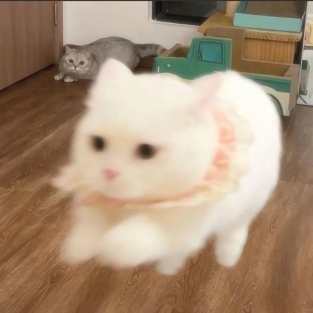 杨思锐