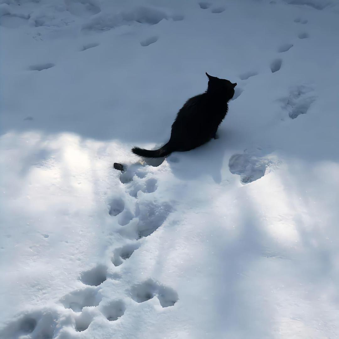 软软甜甜小面包