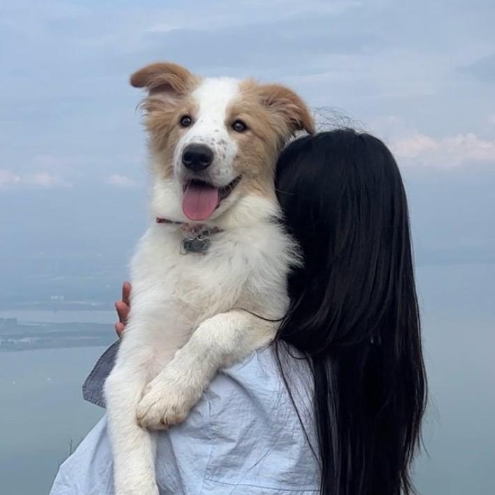 金宝吃不饱