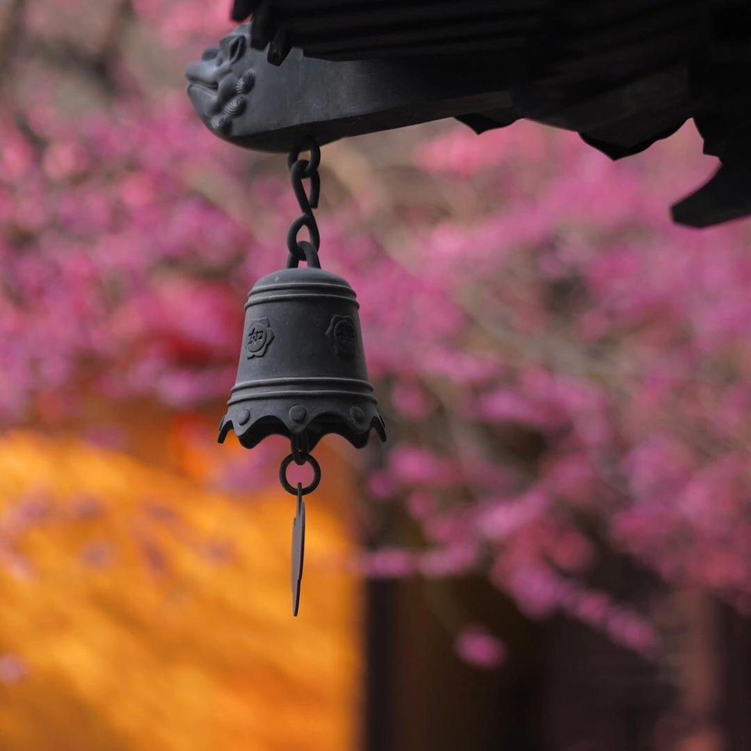 语清师兄