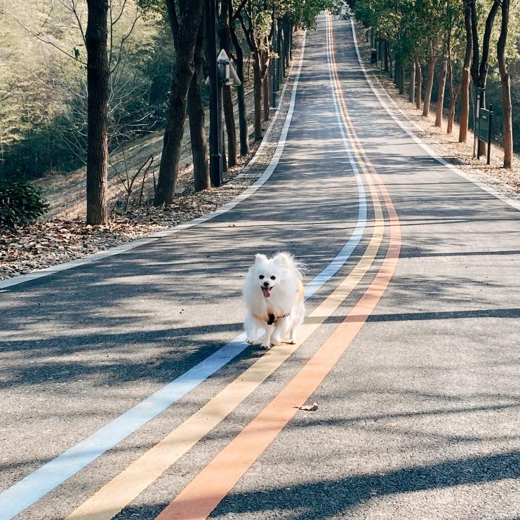 胖子今天挨打了吗