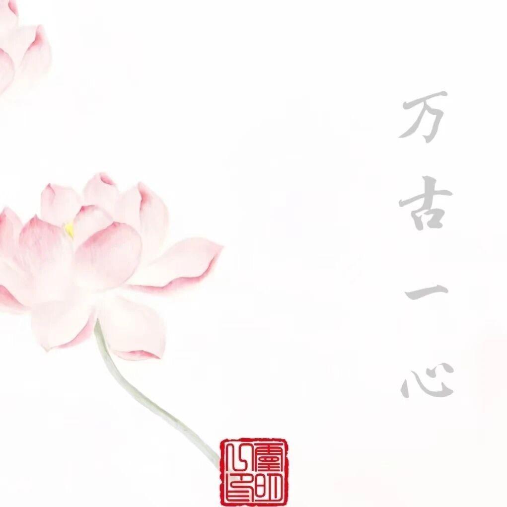 小趴菜～