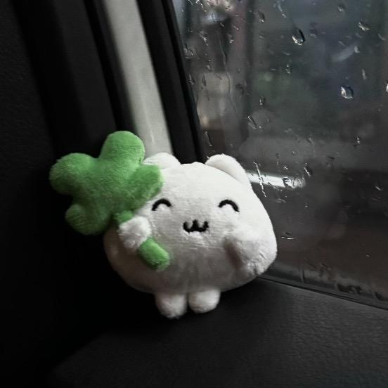 苹果派