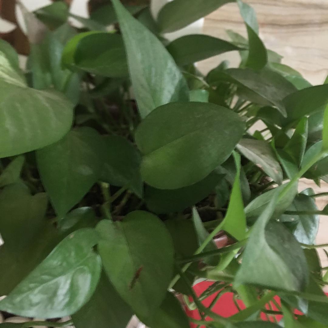 热爱生活的每一天