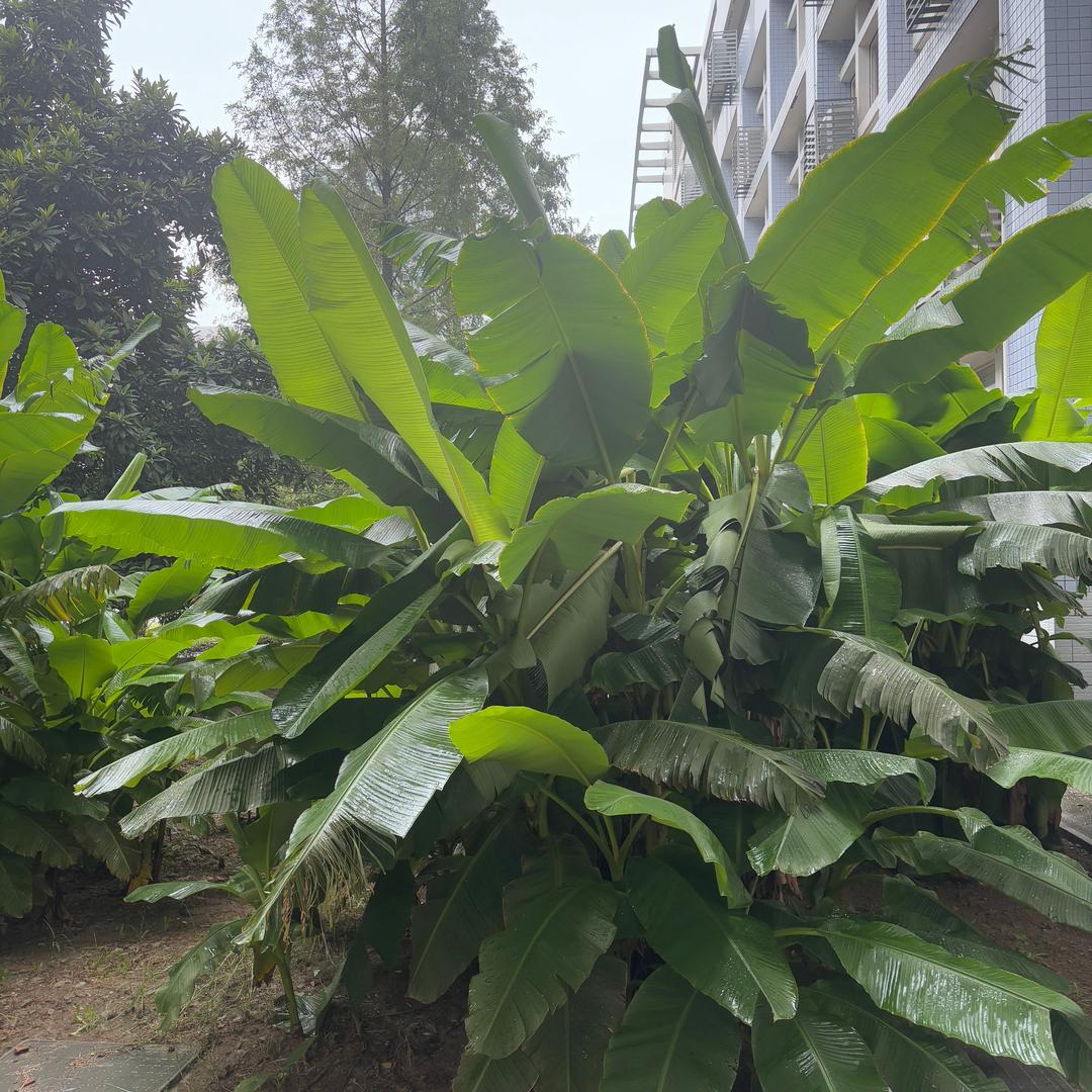 蚌埠九墨友博电子