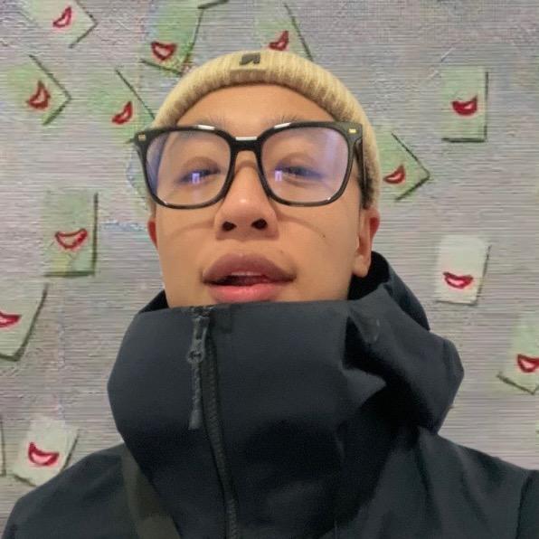 阳光照射向日葵🌻