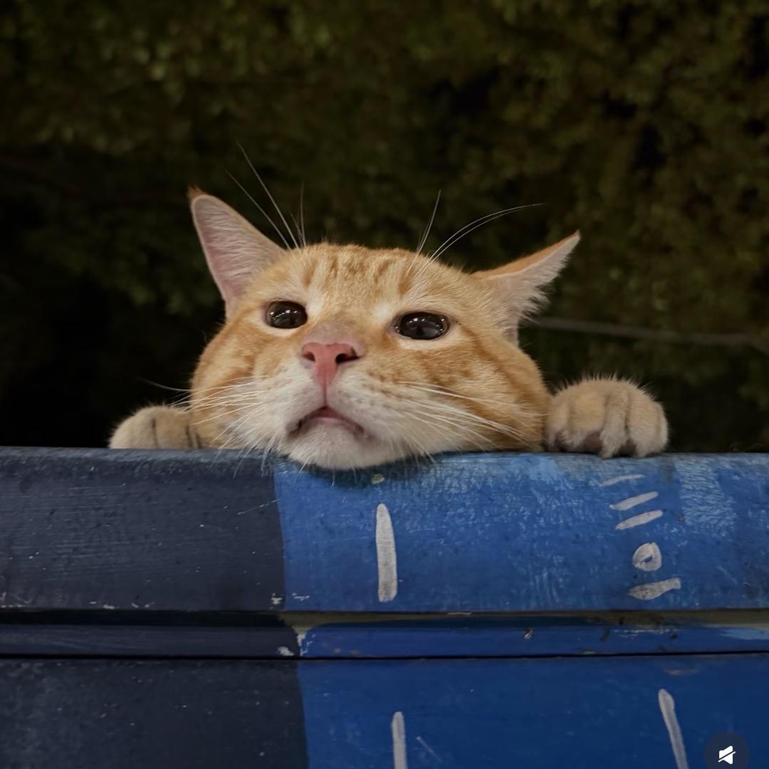 看来只能移民火星了