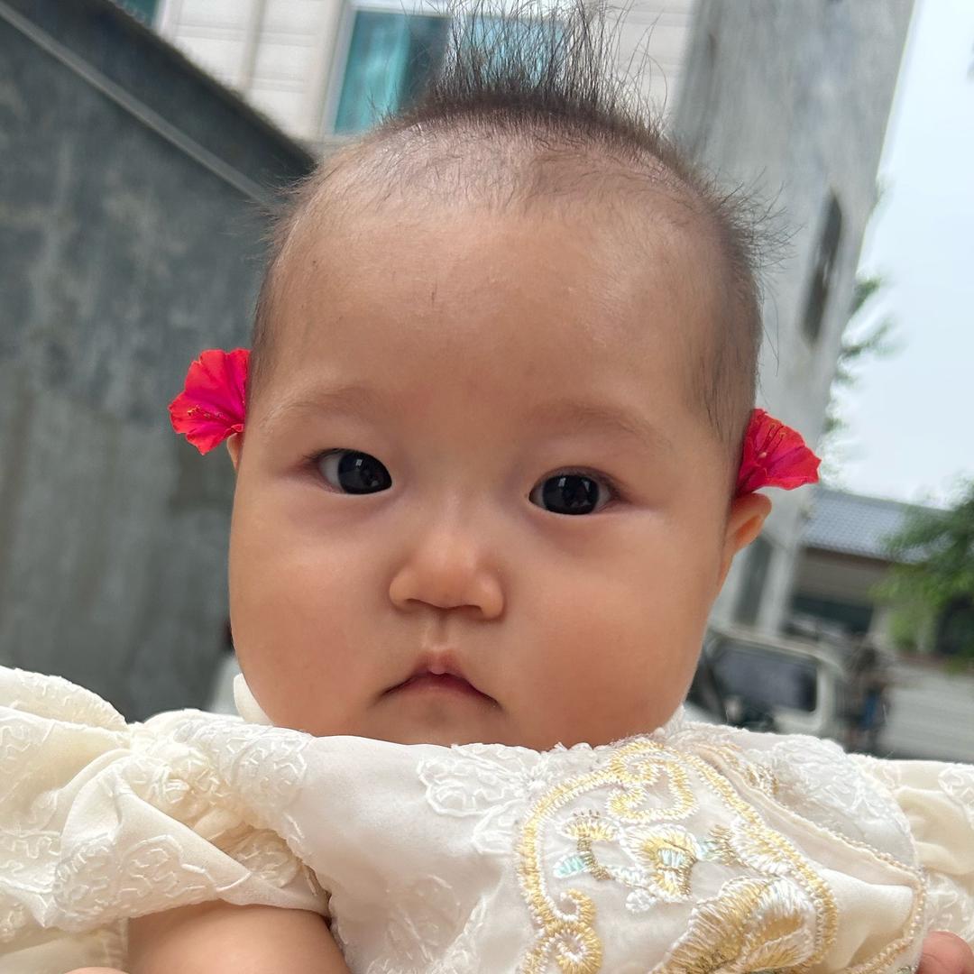 柠檬baby