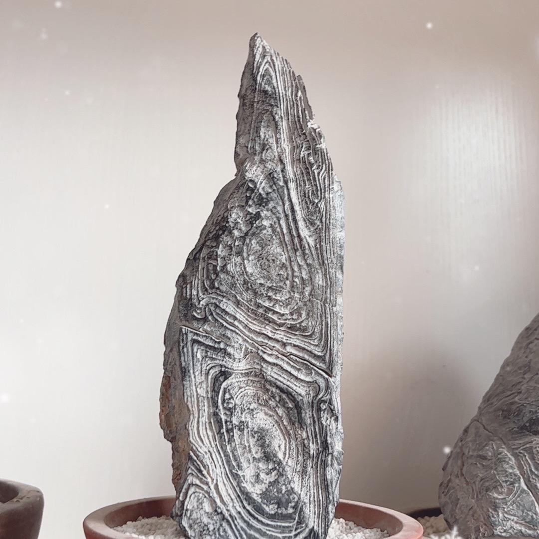 清风一过
