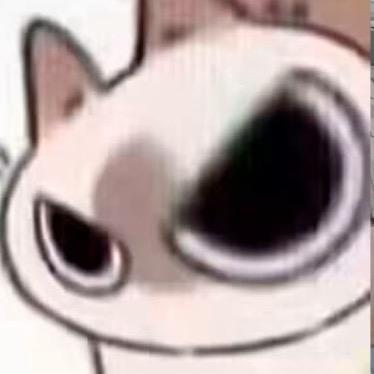 ( ◠‿◠ )