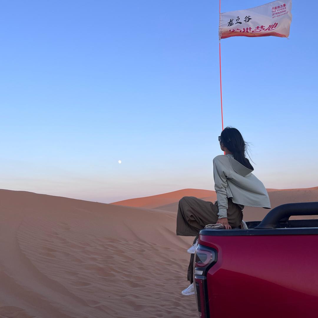 大脸芳