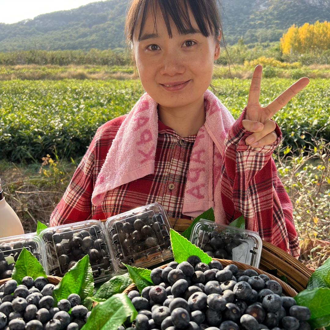 新农人大梅子