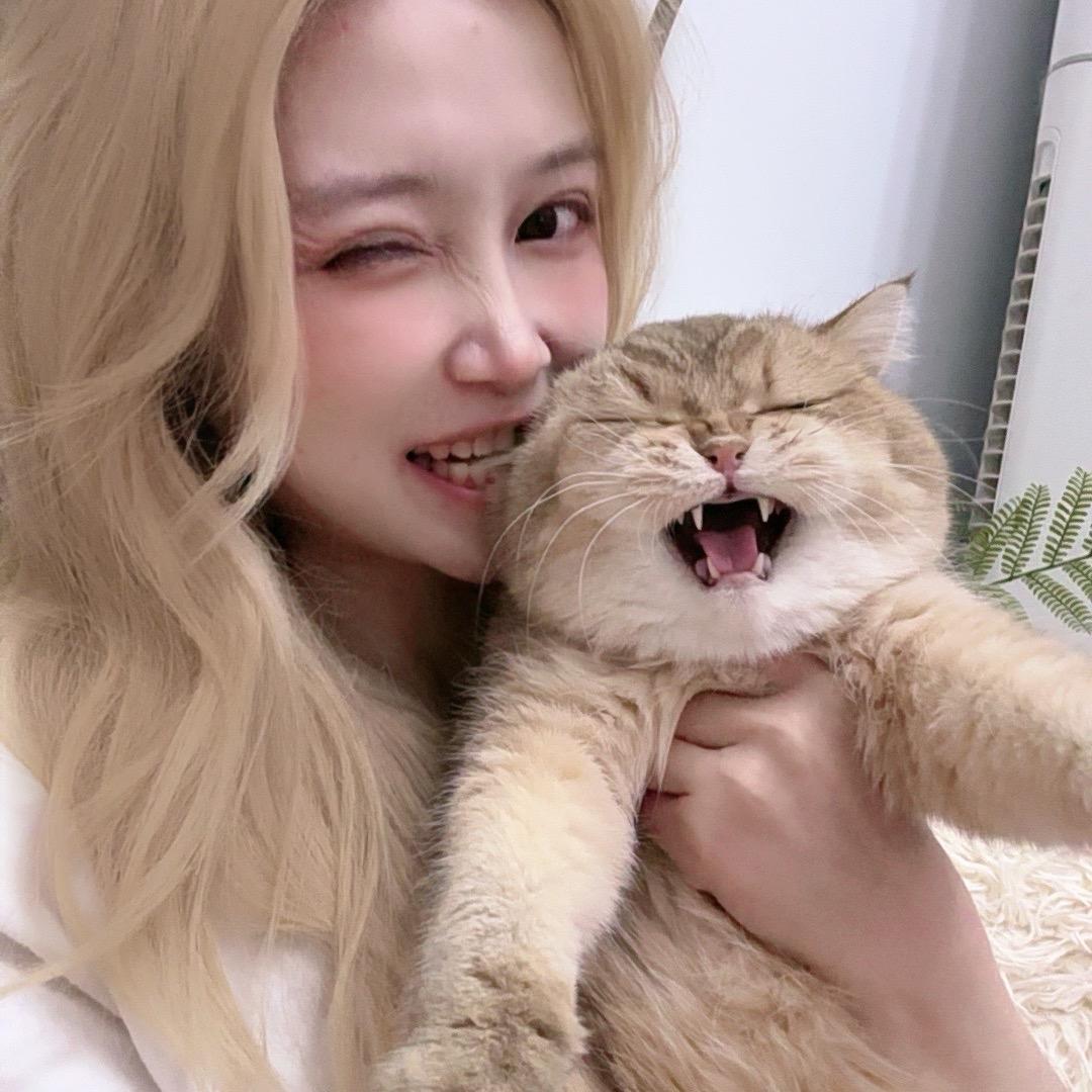 香菜肥肥