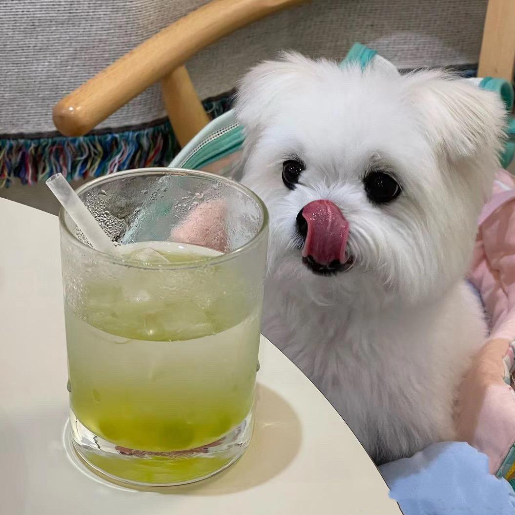 吃货小七椰