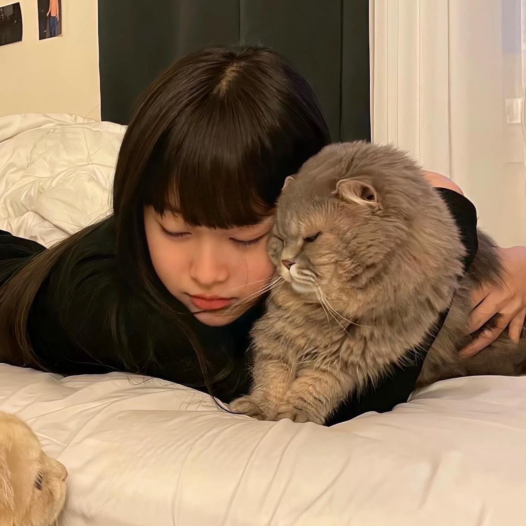 咚咚假发