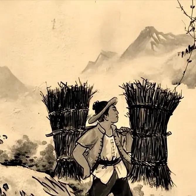 深山拾柴人
