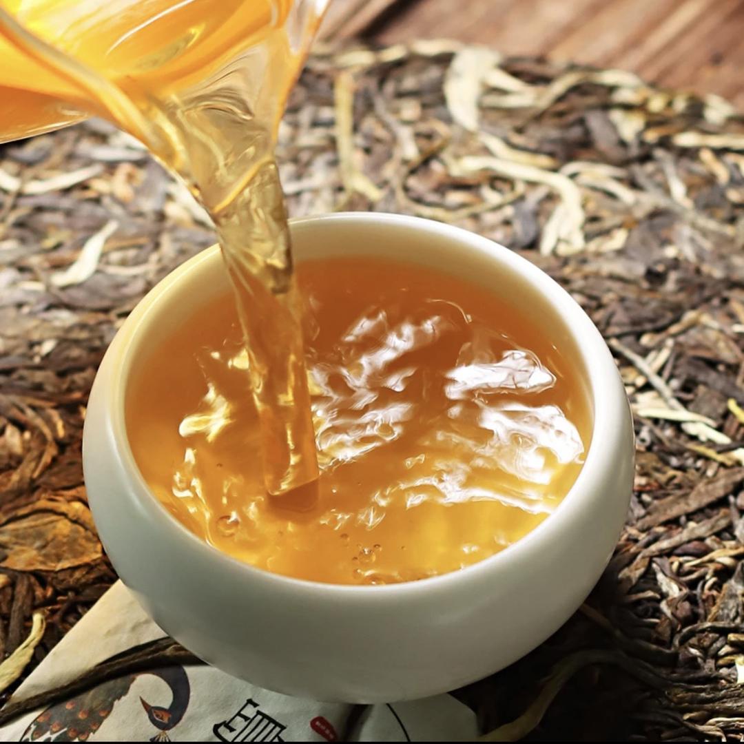 茗望普洱茶