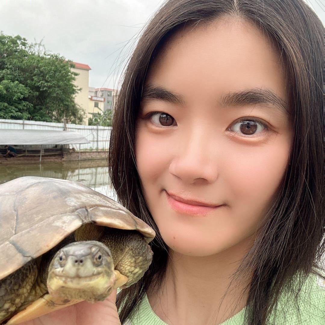 专业做龟鳖的-阿娟