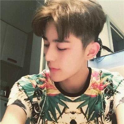 白弟(旭旭宝宝传媒)